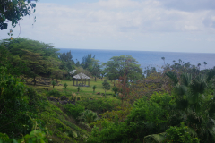IMGP2536