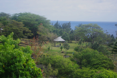 IMGP2542