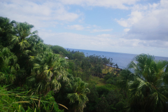IMGP2543