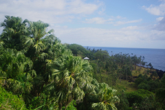 IMGP2545