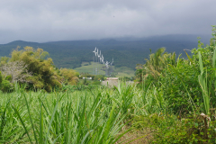 IMGP2645