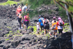 IMGP0151
