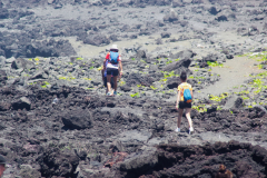 IMGP0184