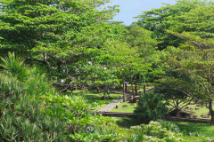 IMGP9951