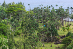 IMGP9953
