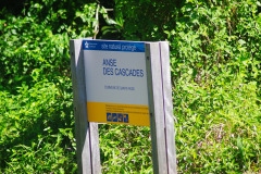 IMGP6245