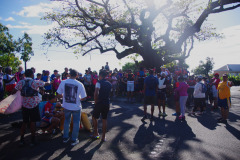 IMGP3024