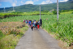 IMGP3054