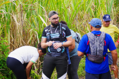 IMGP3120