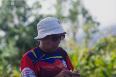IMGP4528